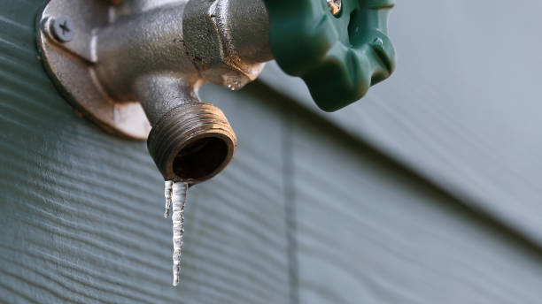Best Plumbing Repair Near Me  in Al Creek, CO